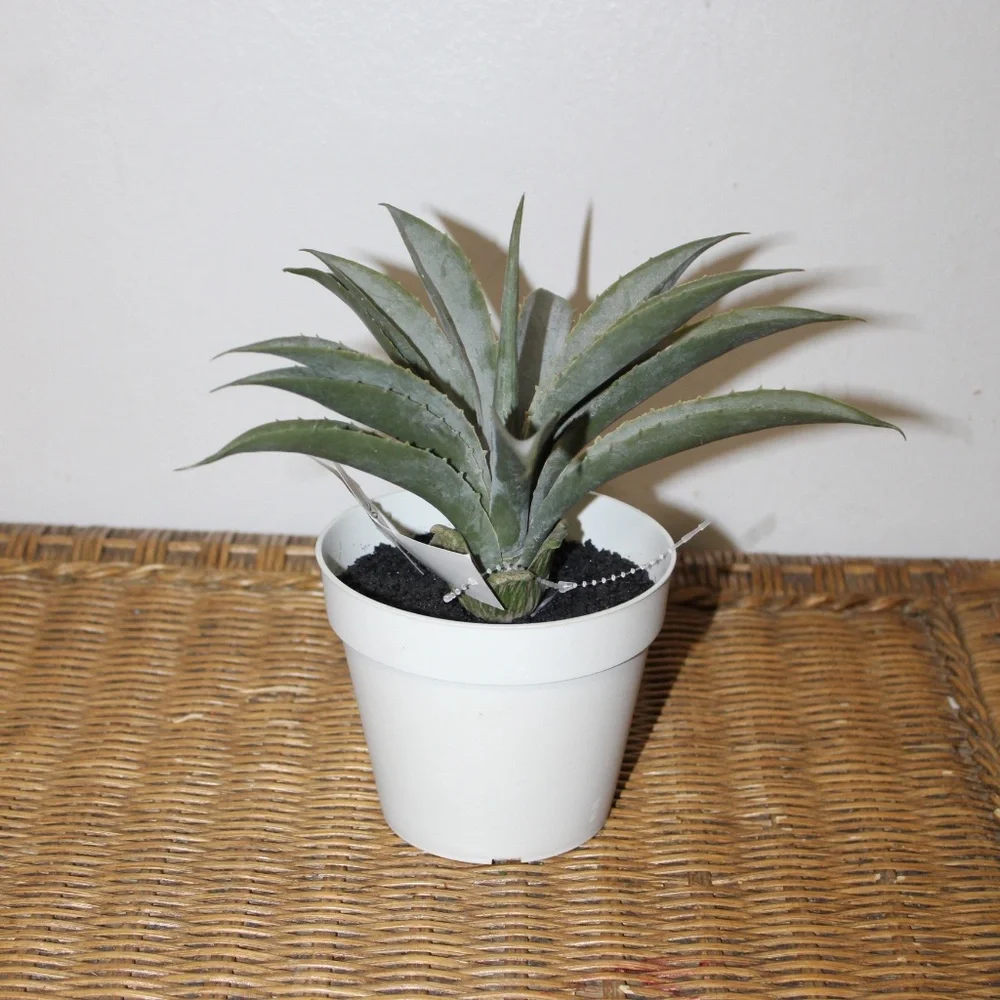 Williams Sonoma Artificial Potted Aloe.